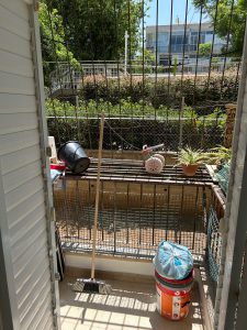 IMG_1834