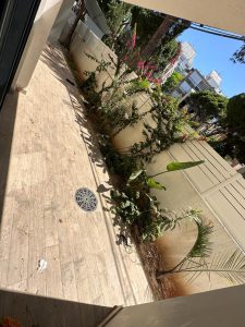 Location rez de jardin Bat Yam (19)