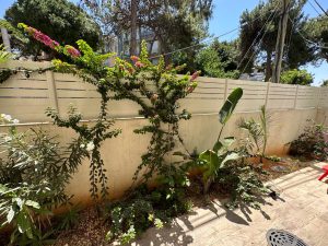 Location rez de jardin Bat Yam (25)