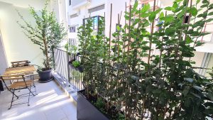Appartement nord ancien Tel Aviv – 3,5 pièces à vendre avec terrasse rue Amsterdam